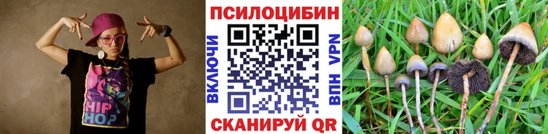 Псилоцибиновые грибы мицелий  Приморск 